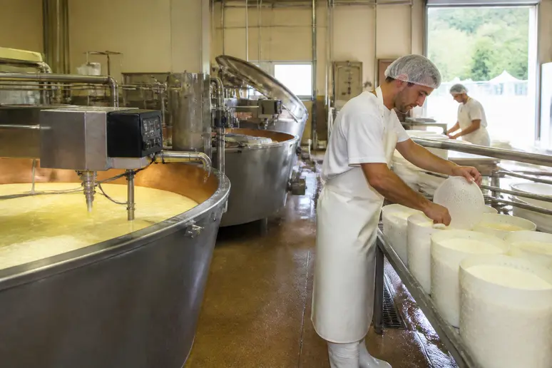 Atelier de transformation agroalimentaire équipé de tables en acier inoxydable pour l'emploi à Châteaubourg